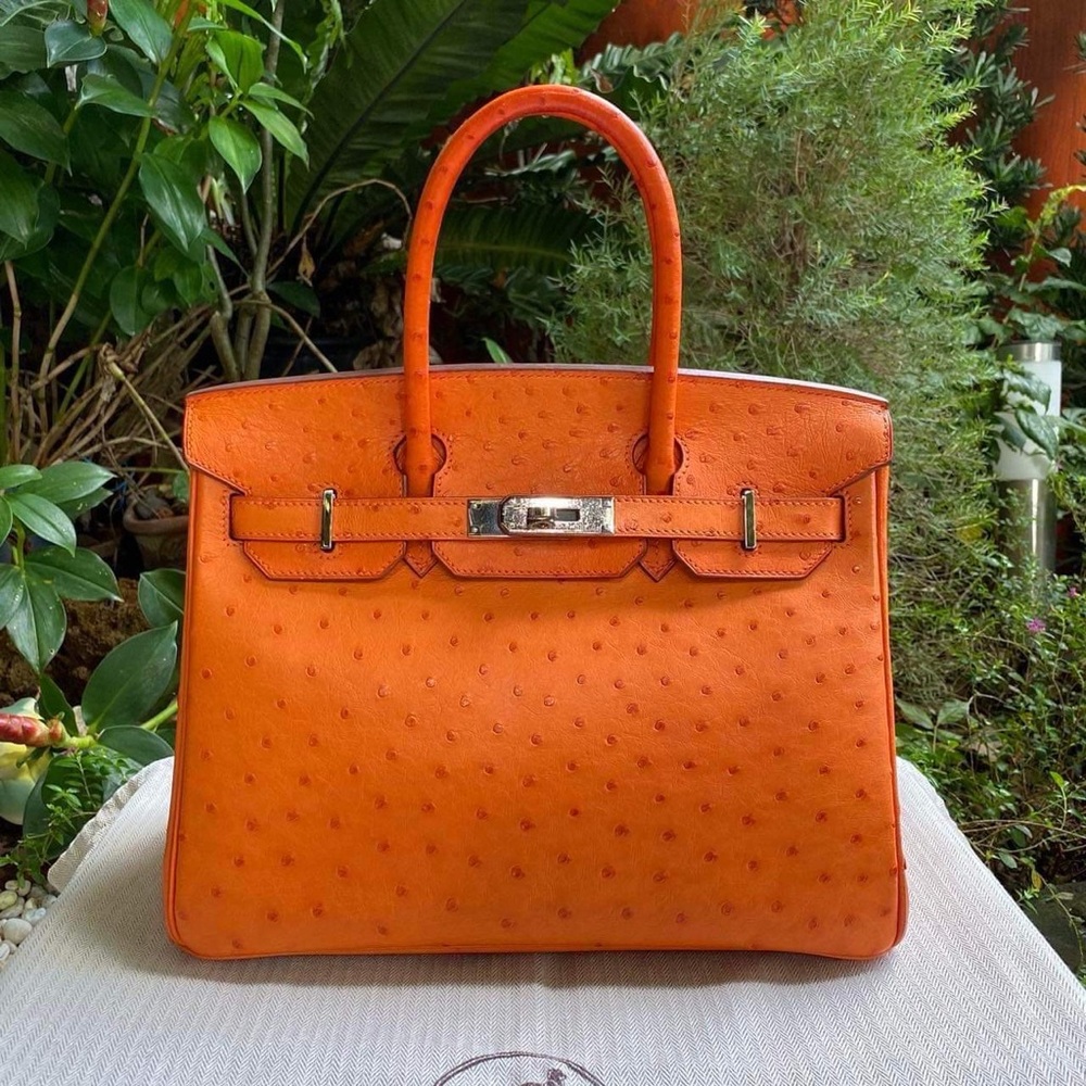 Hermes Birkin 30 Ostrich